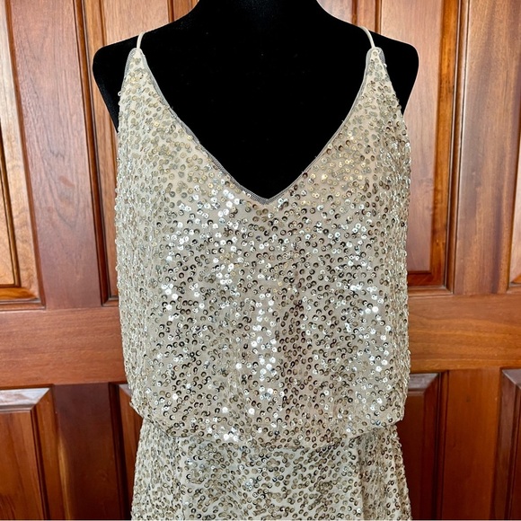 Adrianna Papell Champagne Sequin Beaded V-Neckline Blouson Maxi Gown Dress Sz 12 - Picture 4 of 12